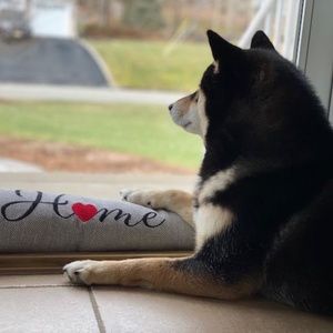 Meet your Posher, Cathy